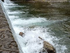 -四川省成都市彭州市白鹿镇