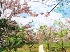 -海花岛旅游度假区