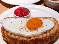 -O'eat Blossom&Pelican(深圳首店)