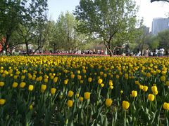 -长春公园(普阳街道)