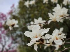 -白塘生态植物园