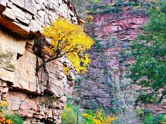 -湖洞水自然风景区