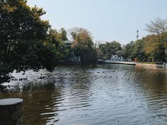 -荔湾湖公园