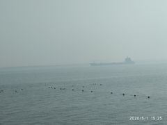 -东疆建设开发纪念公园