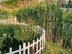 -前小桔亲子创意农场·草莓采摘·露营烧烤