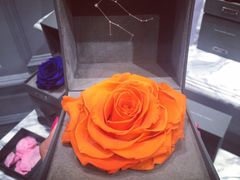 -ROSEONLY诺誓(磐基中心店)
