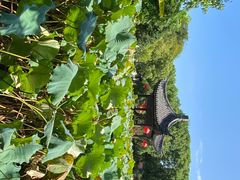 -丝绸小镇荻港古村