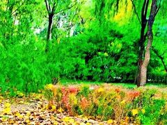 -朝阳公园游乐园