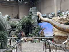 -国家自然博物馆