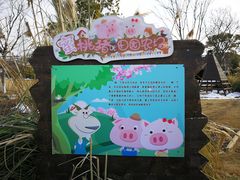 -田园东方蜜桃村的田野营地
