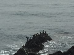 -龙头岩(Dragon Head Rock)