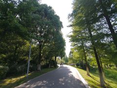 -太子山公园(园东路)