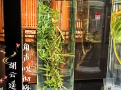 -广东中医药博物馆