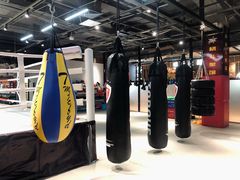 -FC格斗拳馆(东街店)