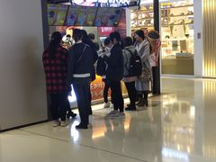 -蜜雪冰城(陆家嘴店)