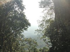 -七仙岭温泉国家森林公园