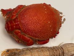 -长兴开元名都大酒店·地中海咖啡厅