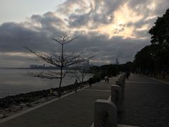 -深圳湾公园(南山区)