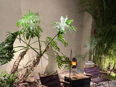 -J Create城市露营咖啡·简餐·宠物(上海动物园店)