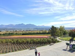 -富田农场
