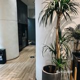 重庆探店｜Mr查克优选牛排｜火山岩炙烤🥩