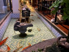 -向阳庄烧烤店(望京西园店)