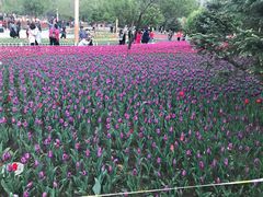 -长春公园(普阳街道)