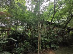-水岸庭院·乡村柴火鸡