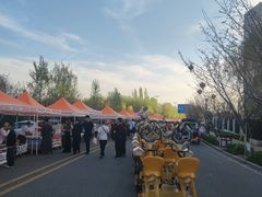 -伊犁河景区