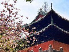 -荆州博物馆