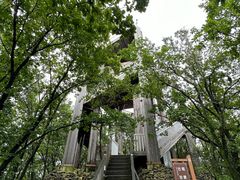 -帽儿山国家森林公园