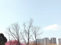 -白塘生态植物园