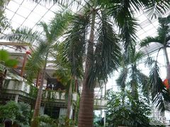 P1000634-绿色时代大酒店