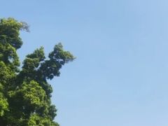 -深圳欢乐谷