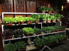 -和院老火锅铜锅烧烤海鲜(朱雀大街店)