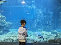 -郑州海洋馆