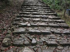 -仙霞关景区