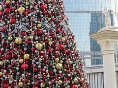 -澳门威尼斯人综合度假区