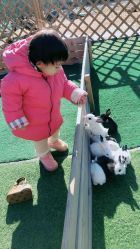 -萌宠亲子动物乐园(槐房万达店)