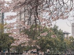 -红星桥(地铁站)