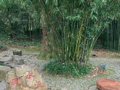 -兰亭风景区