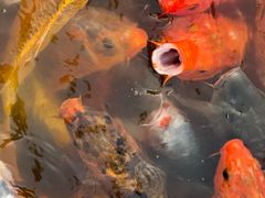 -春晖园度假酒店温泉