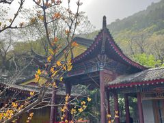 -华清宫景区