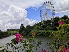 -观澜湖生态运动公社