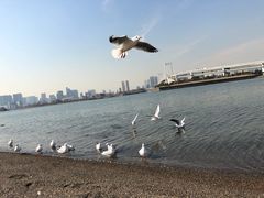 -台场海滨公园船码头