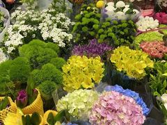 -双季花艺园艺市场(浦东店)