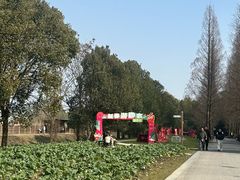 -同里国家湿地公园