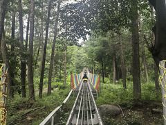 -沂蒙山旅游区云蒙景区(蒙山国家森林公园)
