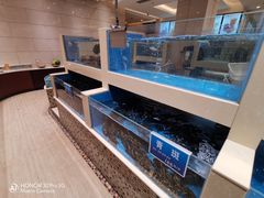 水产区-双井轩(双井店)