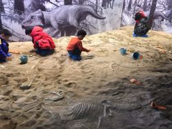 -恐龙探索乐园(磁器口店)